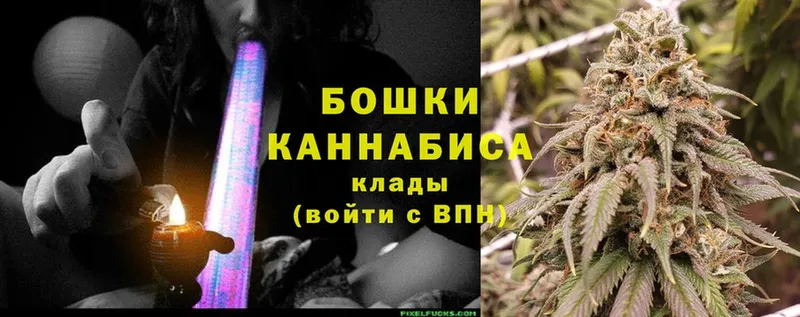 купить наркотики цена  Углегорск  Бошки Шишки Bruce Banner 